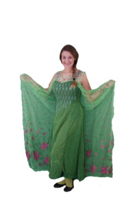 Elsa Primavera - Costumi per eventi, Pazzanimazione
