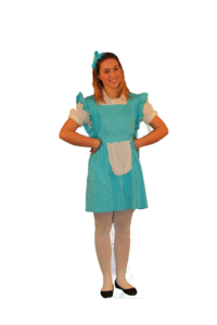 Alice - Costumi per eventi, Pazzanimazione