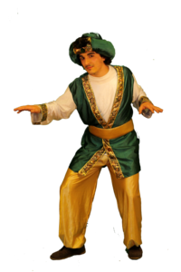 Aladdin - Costumi per eventi, Pazzanimazione