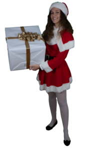 Babba Natalina - Costumi per eventi, Pazzanimazione